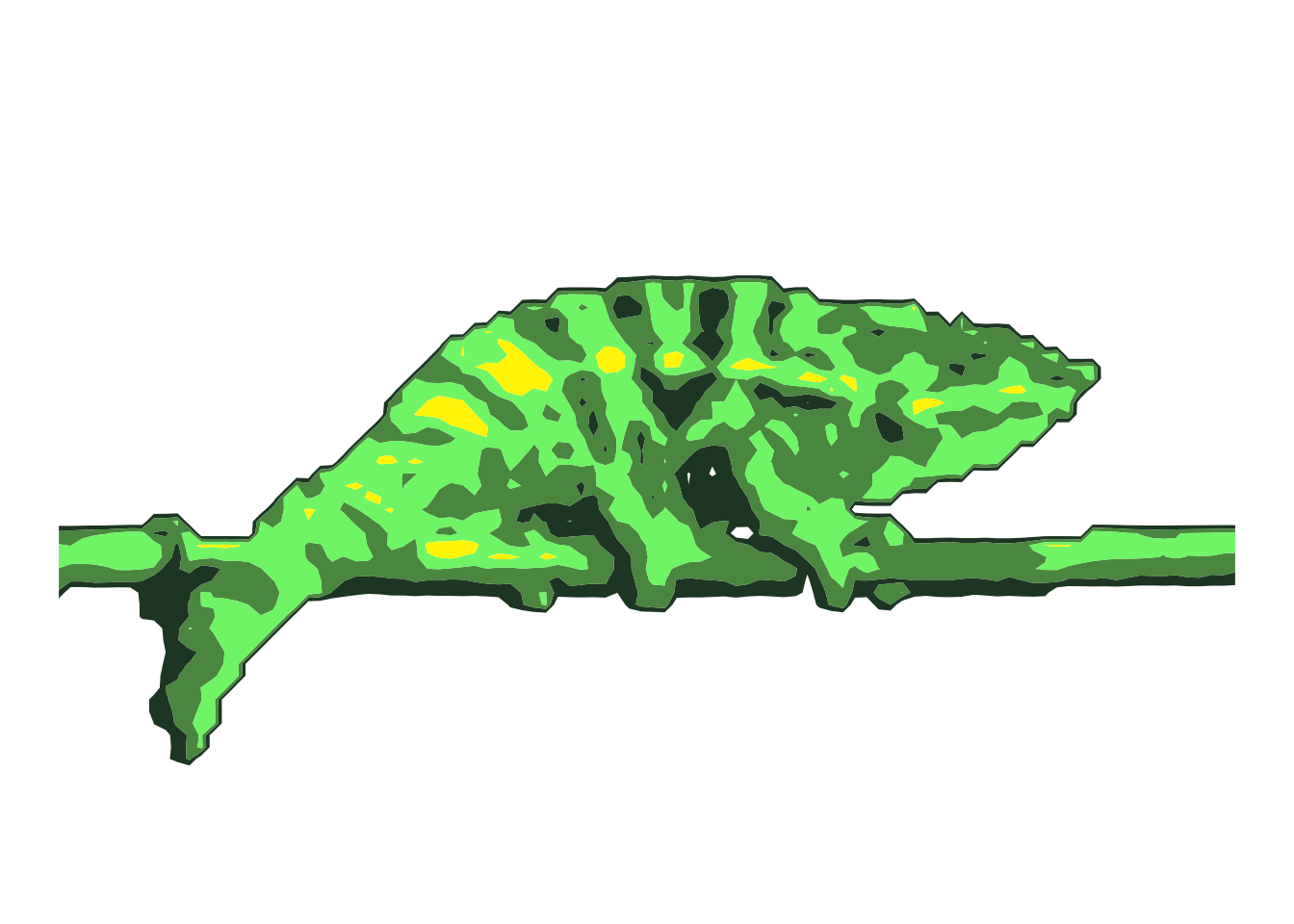 Contour image of a chameleon with no background